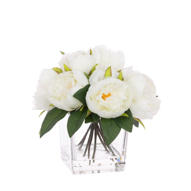 Peony in a Cube Vase