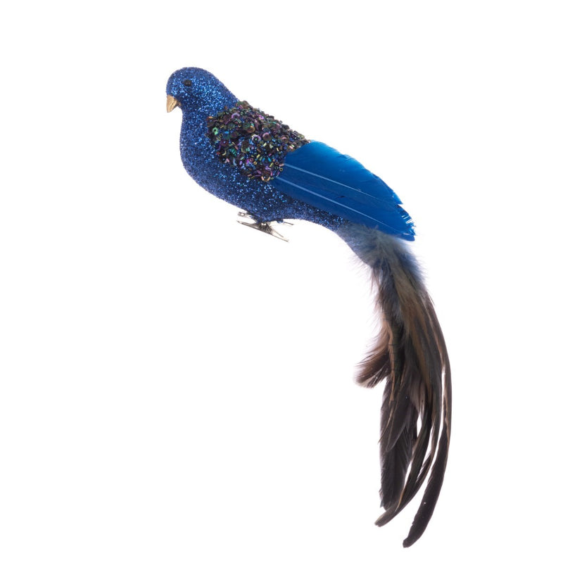 Long Tailed Bird with Clip