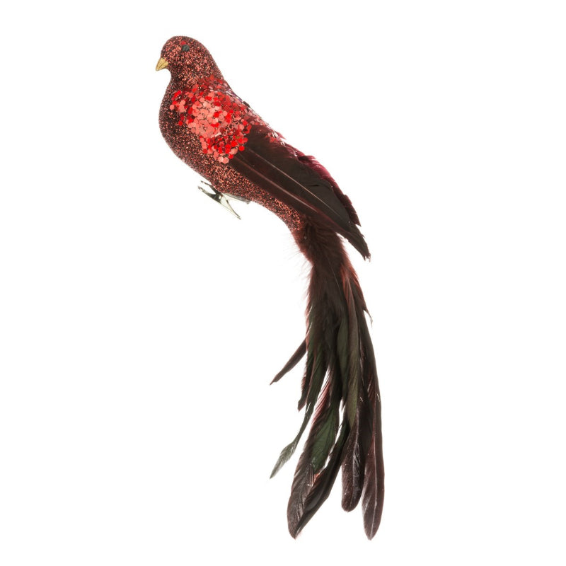 Long Tailed Bird with Clip