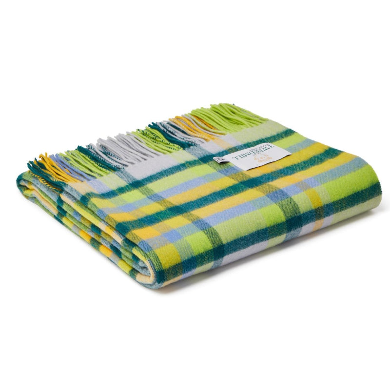 Lambswool Bright Check Citrus
