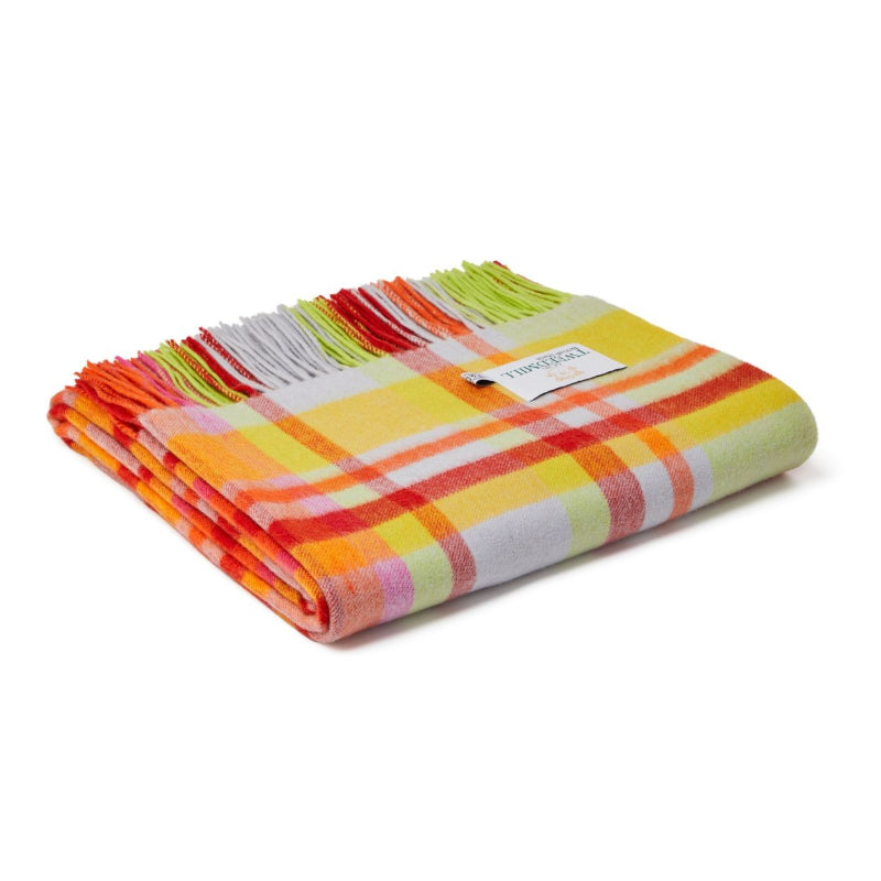 Lambswool Bright Check Jolly