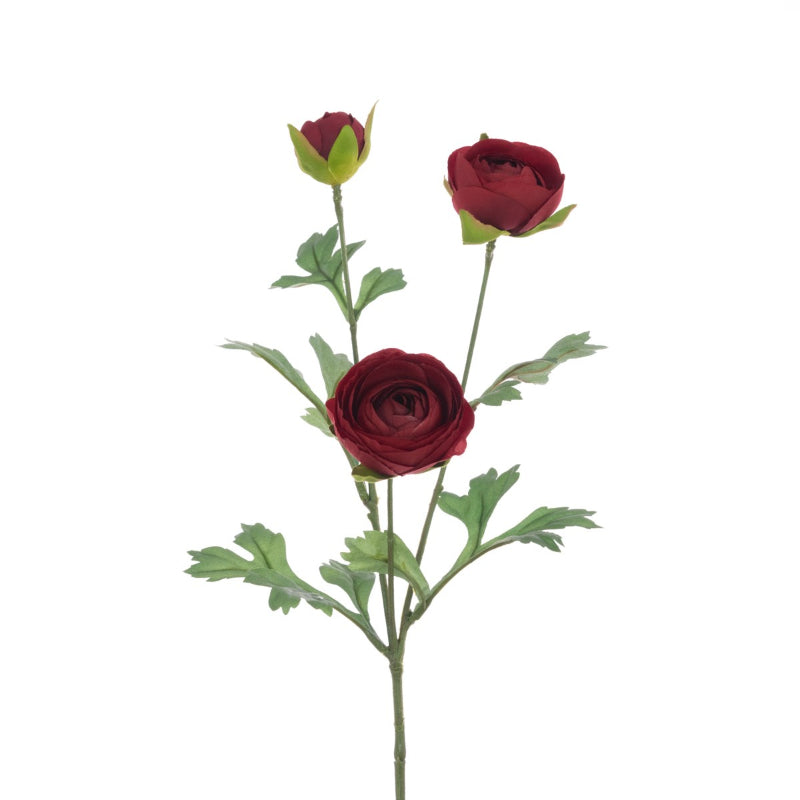 Ranunculus Spray in Red